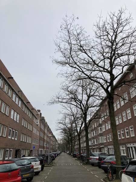 John Franklinstraat 23