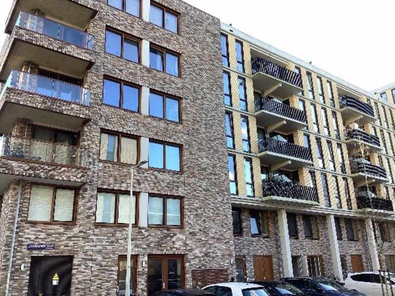 Zilverplevierstraat 95