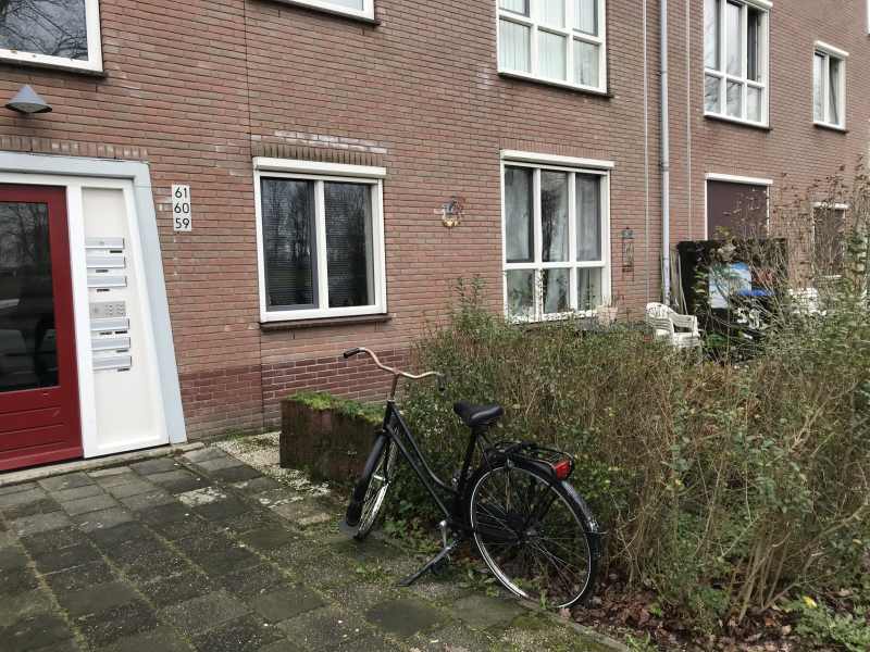 Burgemeester Gaarlandtsingel 59