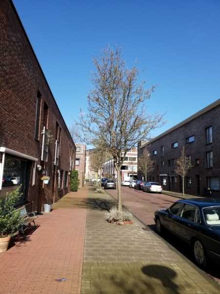 Wim van Eststraat 10