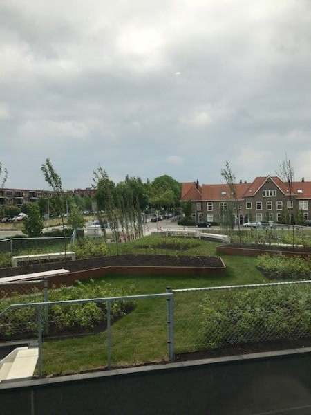 Oostzaan 329