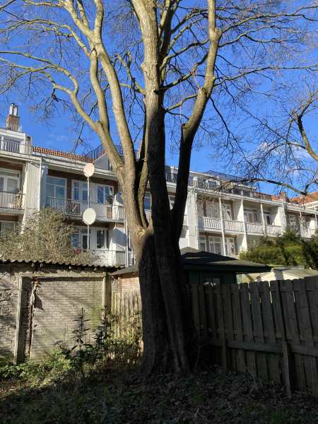 Van Spilbergenstraat 73HS