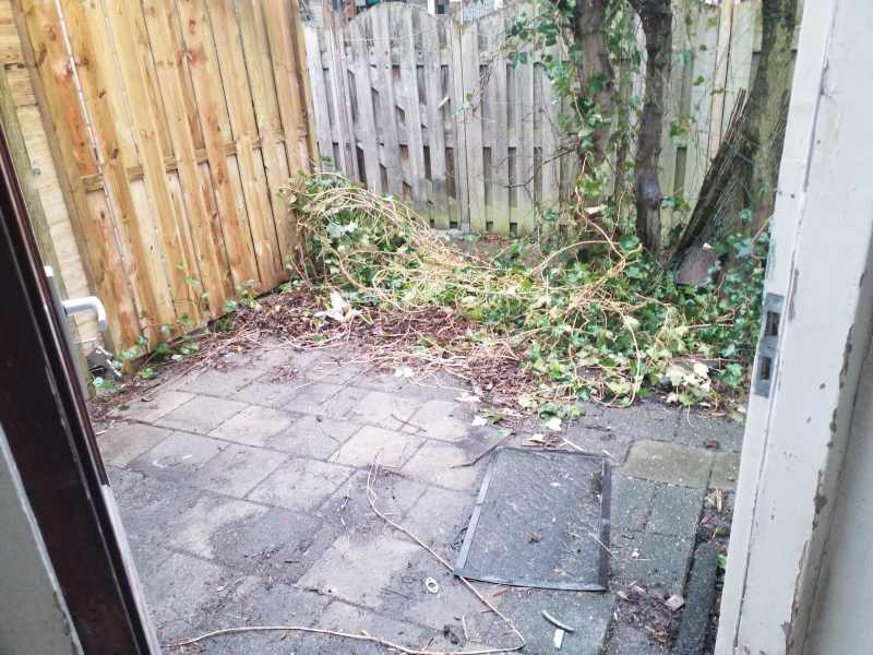 Ilpendammerstraat 59