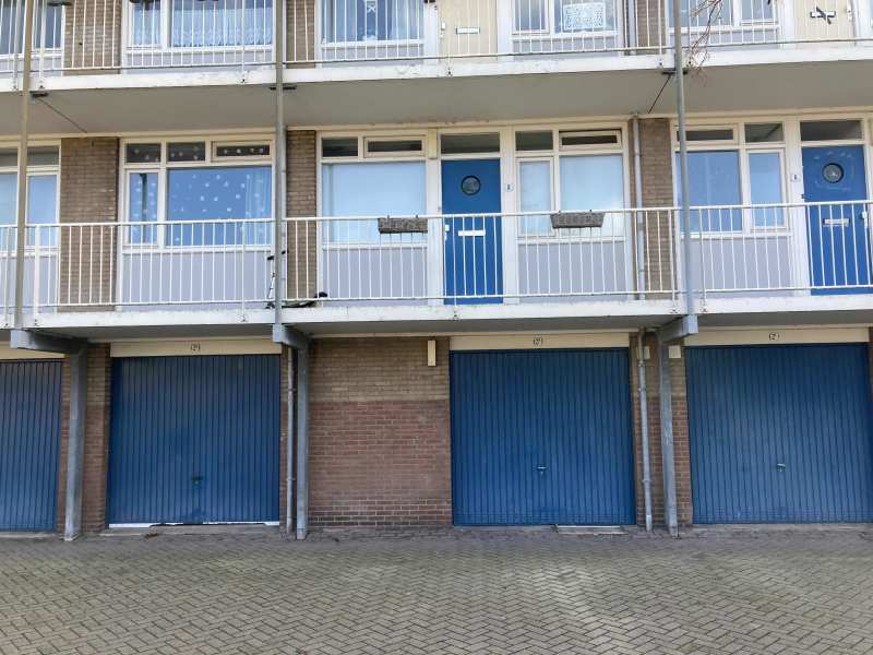 Wollegrasstraat 8