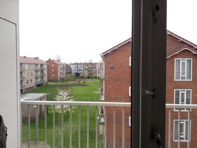 Rembrandt van Rijnstraat 83