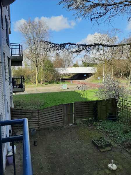 Wethouder de Roosplein 241