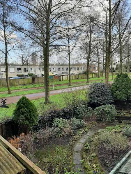 Wethouder de Roosplein 241