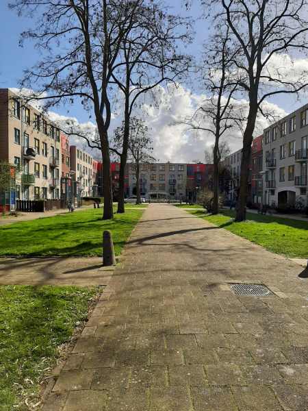 Wethouder de Roosplein 241