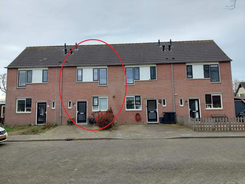 Boerenzwaluw , 3956 RT Leersum, Nederland