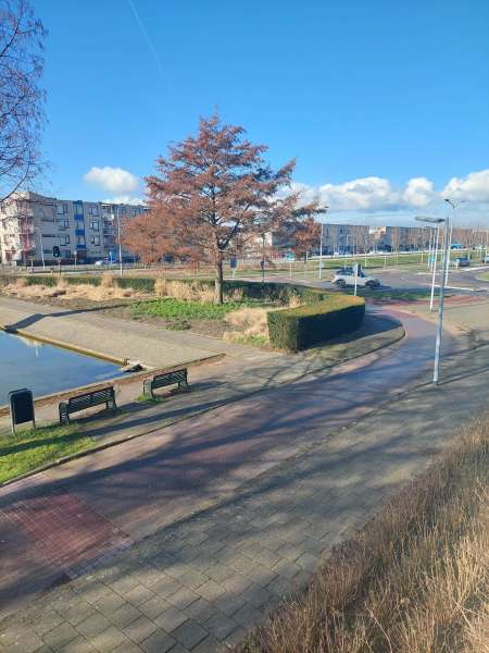 Mary Zeldenruststraat 141