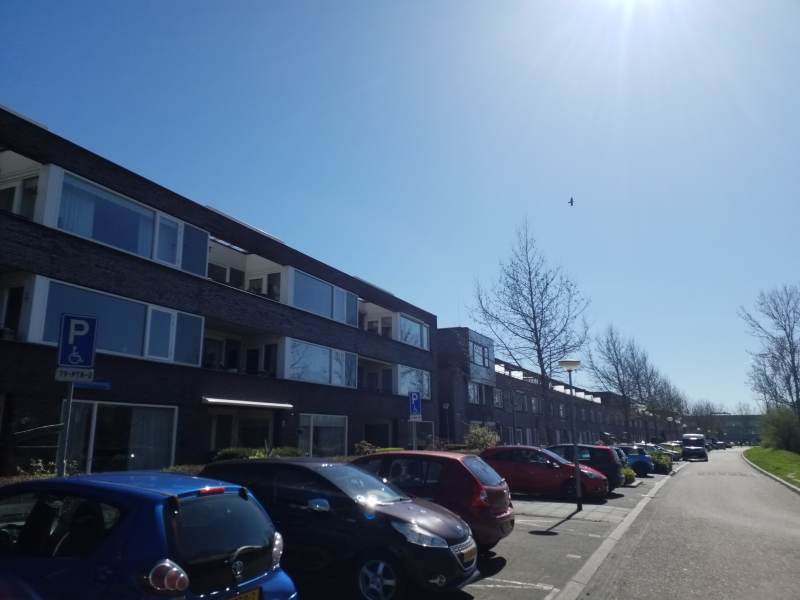 Michelangelostraat 123