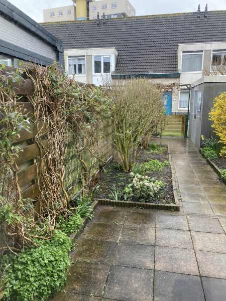 P. Lieftinckstraat 31