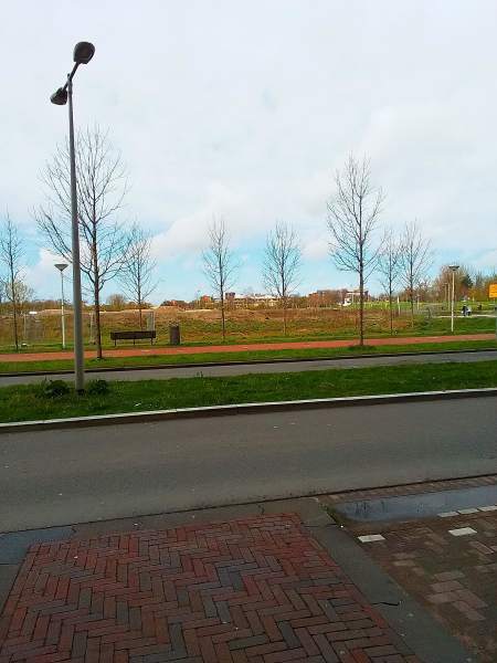 Elzenhagensingel 487