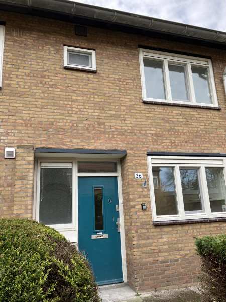 Guus Trestorffstraat 36