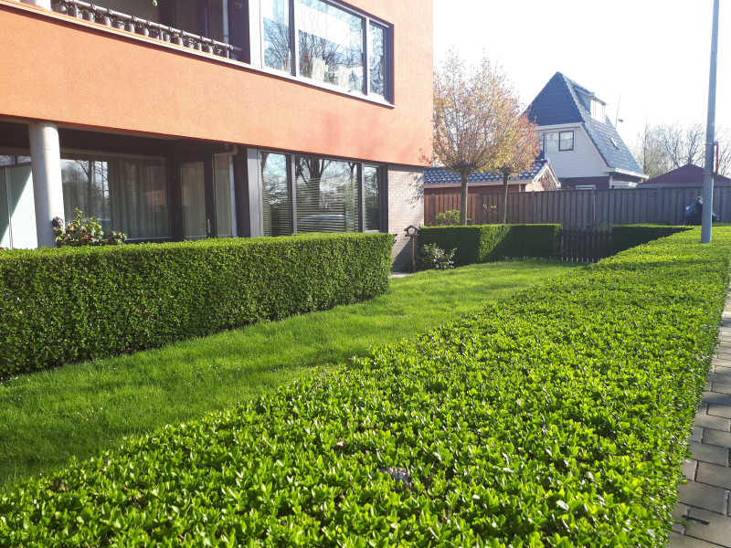 Polmanstraat 2, 9745 BA Groningen, Nederland