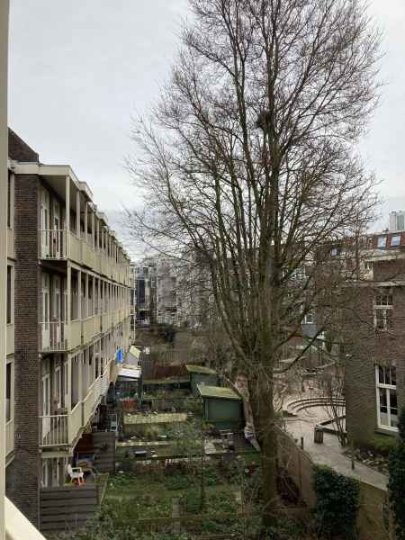 Hasebroekstraat 89