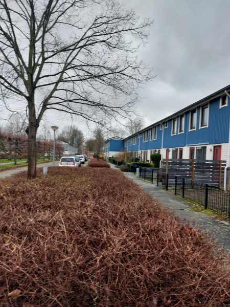 Henrick de Keyserplantsoen 50