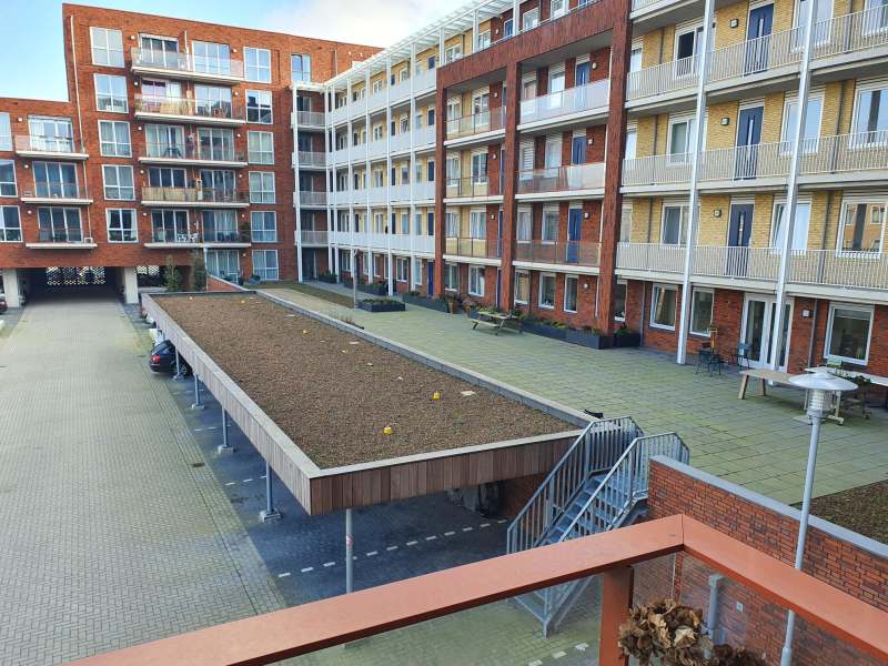 Frans van der Wielstraat 37