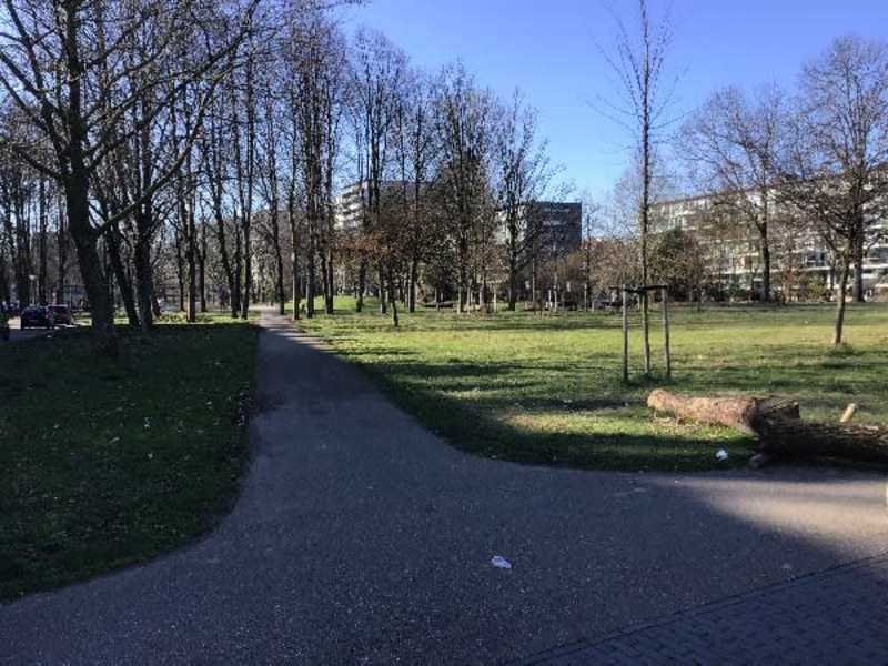 Botteskerksingel 3III