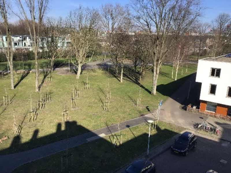 Botteskerksingel 3III