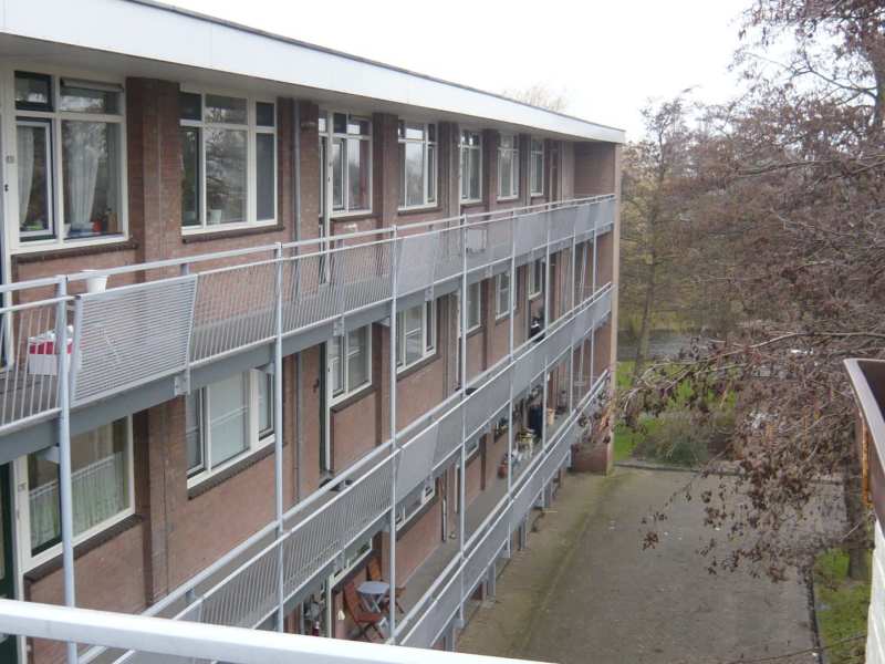 Pijpkruidstraat 40