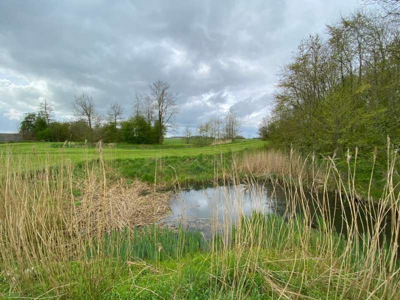 Professor Doctor Geziena van der Molenstraat 22