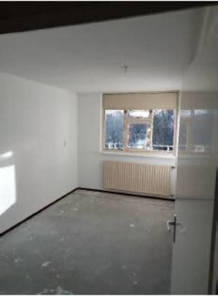 Kolfschotenstraat 299