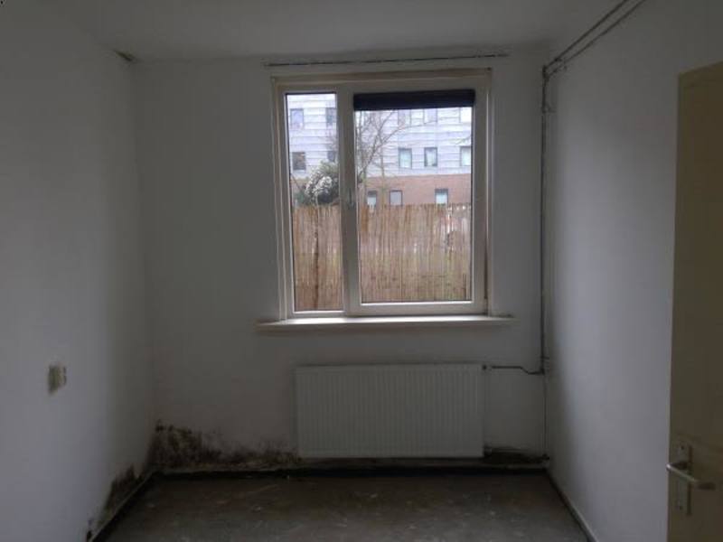 Honselersdijkstraat 77