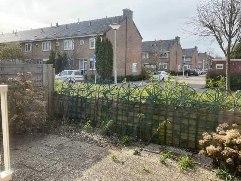 W.J. Bijleveldstraat 8