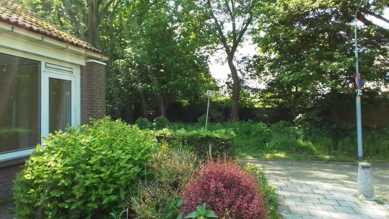 Waterlelieplantsoen 38