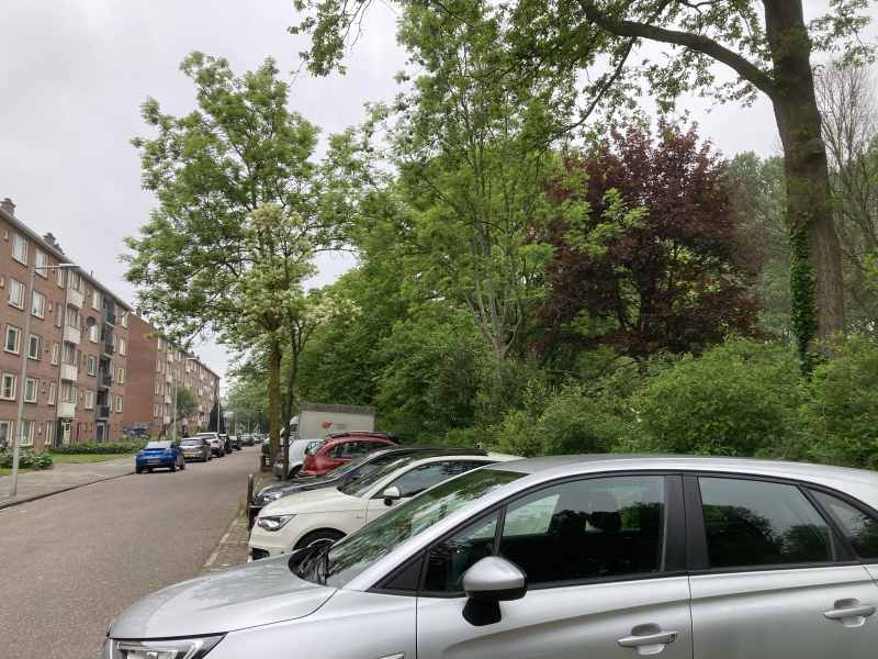 Waalenburgsingel 245