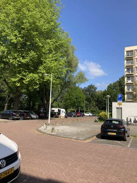 S.F. van Ossstraat 233