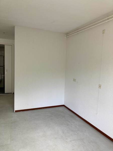 S.F. van Ossstraat 233