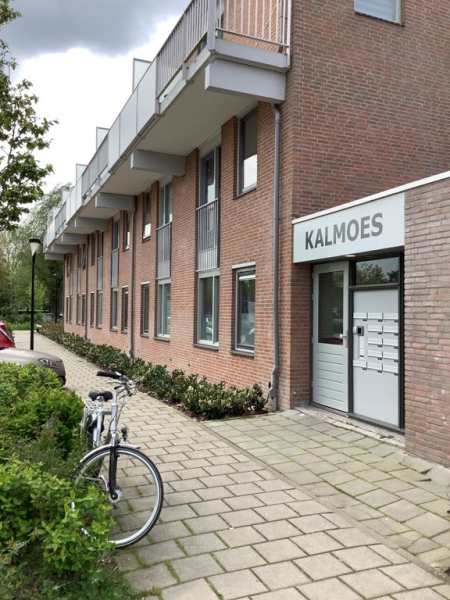 Kalmoes 30