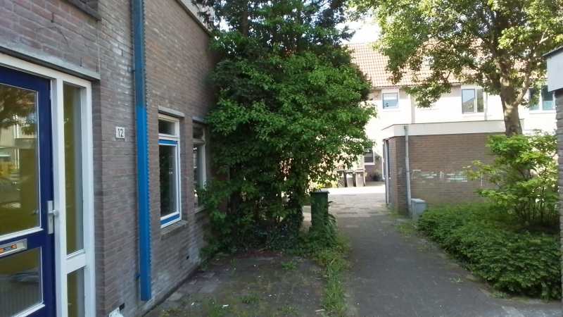 Lisdoddestraat 12