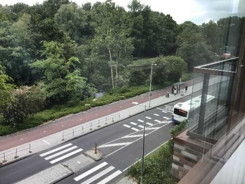 Zilverplevierstraat 67