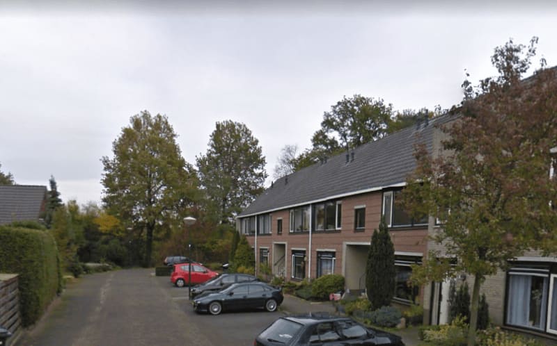 Goudvinklaan 10