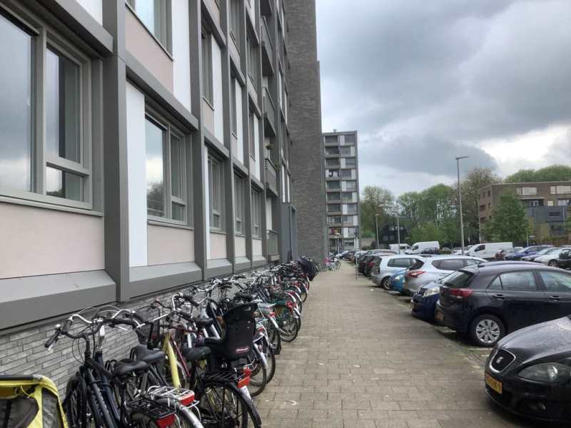 Jeanne d'Arcdreef 56