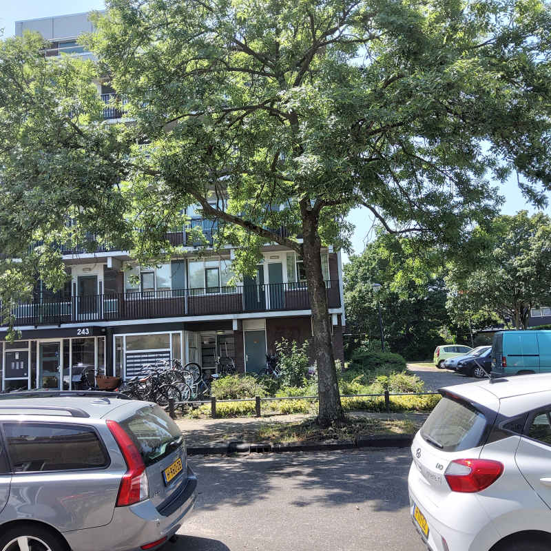 Bertha von Suttnerstraat 32