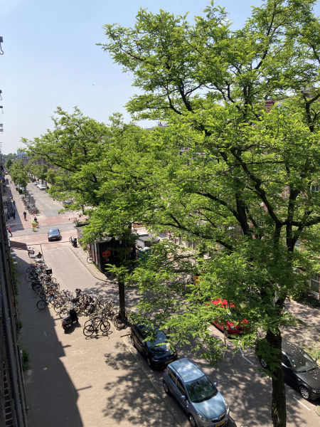 Jan Pieter Heijestraat 43