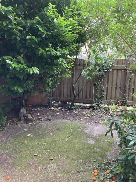 Groen van Prinstererstraat 8h