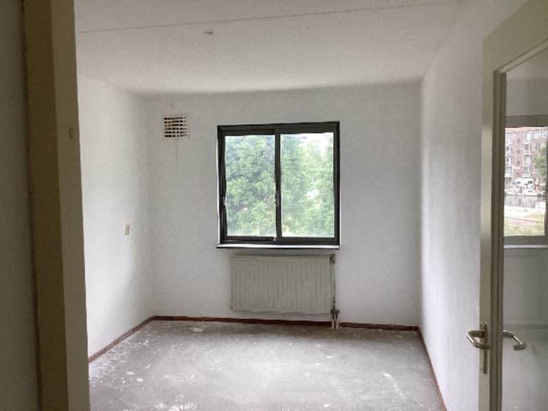 Bos en Lommerplantsoen 20