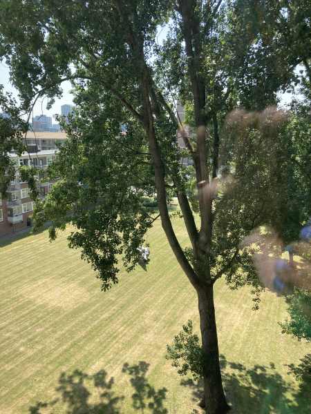 Jan Evertsenstraat 441