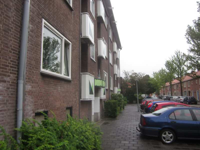 Lijns Tewisz Roggeplein 32