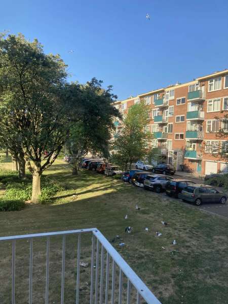 Jan Evertsenstraat 399I, 1061 XV Amsterdam, Nederland