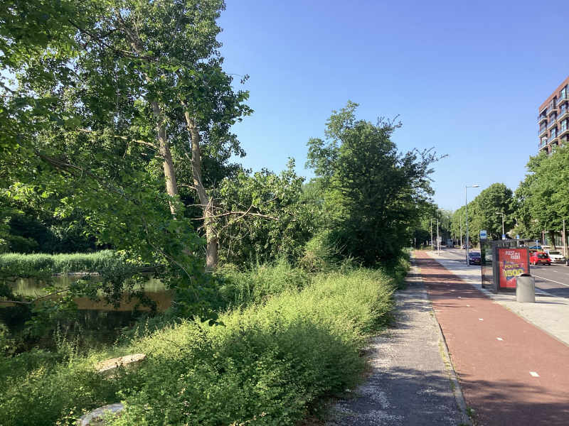 Zilverplevierstraat 101