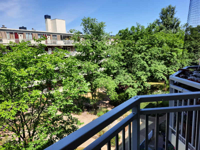 Grote Wittenburgerstraat 11C