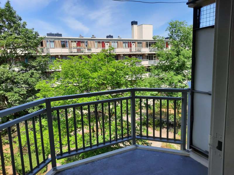 Grote Wittenburgerstraat 11C