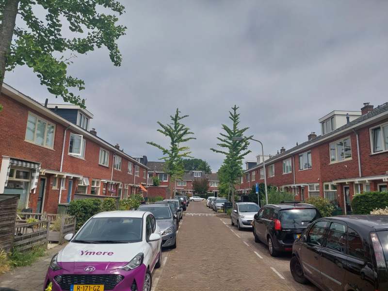 Van 't Hoffstraat 298