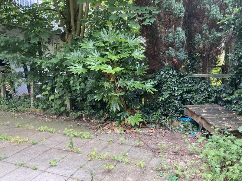 Orteliusstraat 127II